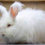 image00002-1140