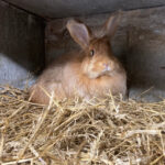 image00005-1140
