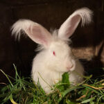 image00048-1140